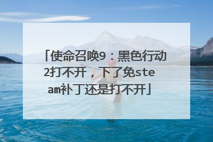 使命召唤9:黑色行动2打不开,下了免steam补丁还是打不开