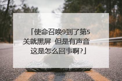 使命召唤9到了第5关就黑屏 但是有声音 这是怎么回事啊?