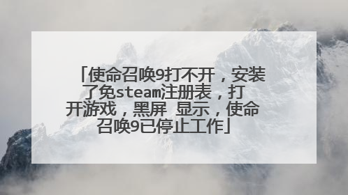 使命召唤9打不开,安装了免steam注册表,打开游戏,黑屏 显示,使命召唤9已停止工作