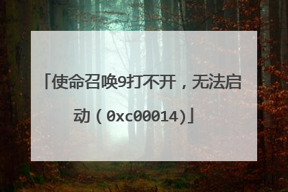 使命召唤9打不开,无法启动(0xc00014)