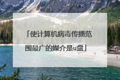使计算机病毒传播范围最广的媒介是u盘