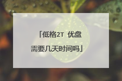 低格2T 优盘需要几天时间吗
