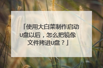 使用大白菜制作启动U盘以后,怎么把镜像文件拷进U盘?
