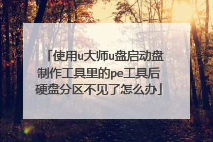 使用u大师u盘启动盘制作工具里的pe工具后硬盘分区不见了怎么办