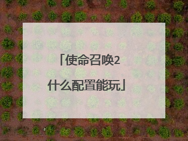 使命召唤2 什么配置能玩