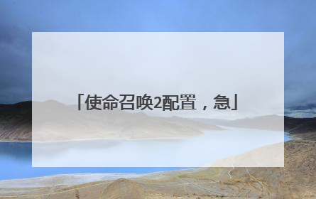 使命召唤2配置，急