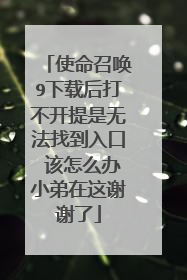 使命召唤9下载后打不开提是无法找到入口 该怎么办小弟在这谢谢了