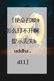 使命召唤9怎么打不开啊 提示丢失buddha.dll
