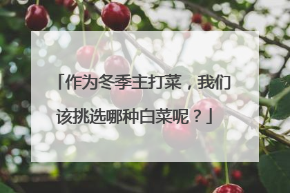 作为冬季主打菜，我们该挑选哪种白菜呢？