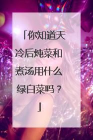 你知道天冷后炖菜和煮汤用什么绿白菜吗?