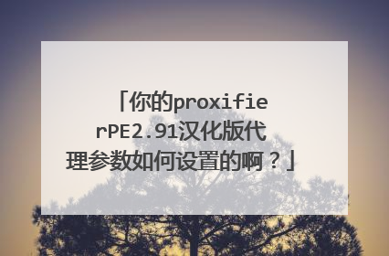 你的proxifierPE2.91汉化版代理参数如何设置的啊?