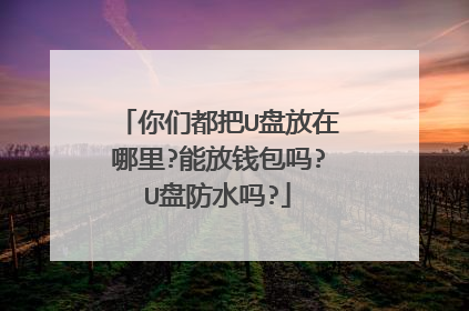 你们都把U盘放在哪里?能放钱包吗?U盘防水吗?