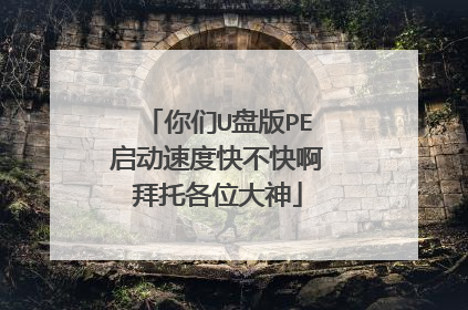 你们U盘版PE启动速度快不快啊拜托各位大神
