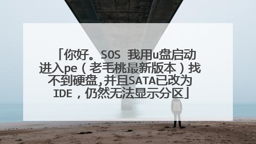 你好。SOS 我用u盘启动进入pe(老毛桃最新版本)找不到硬盘,并且SATA已改为IDE,仍然无法显示分区