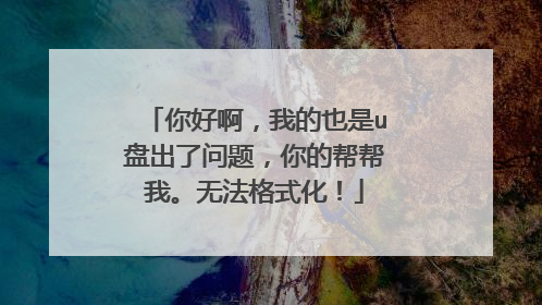 你好啊,我的也是u盘出了问题,你的帮帮我。无法格式化!