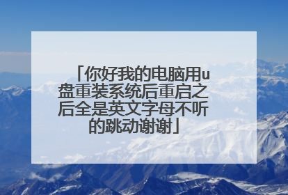 你好我的电脑用u盘重装系统后重启之后全是英文字母不听的跳动谢谢