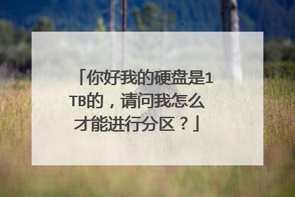 你好我的硬盘是1TB的，请问我怎么才能进行分区？