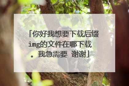 你好我想要下载后缀img的文件在哪下载。我急需要 谢谢