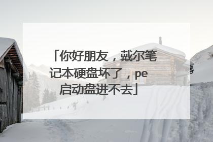 你好朋友,戴尔笔记本硬盘坏了,pe启动盘进不去