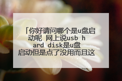 你好请问哪个是u盘启动呢 网上说usb hard disk是u盘启动但是点了没用而且这个后面还有字