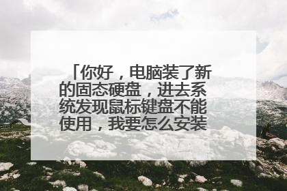 你好,电脑装了新的固态硬盘,进去系统发现鼠标键盘不能使用,我要怎么安装usb的驱动呢?