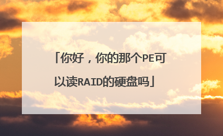 你好,你的那个PE可以读RAID的硬盘吗
