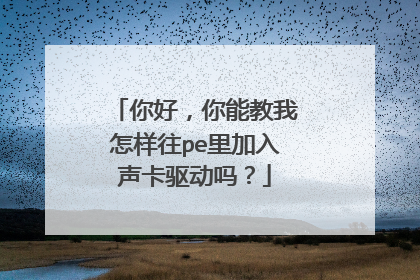 你好，你能教我怎样往pe里加入声卡驱动吗？