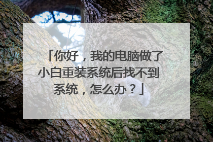 你好,我的电脑做了小白重装系统后找不到系统,怎么办?