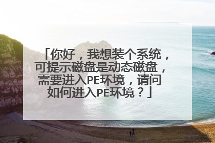 你好，我想装个系统，可提示磁盘是动态磁盘，需要进入PE环境，请问如何进入PE环境？