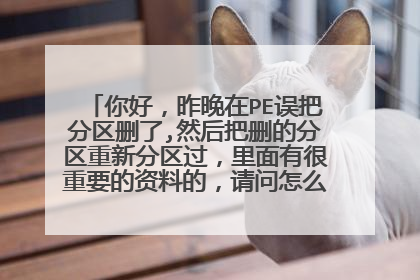 你好，昨晚在PE误把分区删了,然后把删的分区重新分区过，里面有很重要的资料的，请问怎么把数据完全修复