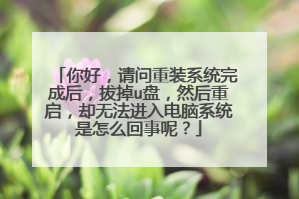 你好，请问重装系统完成后，拔掉u盘，然后重启，却无法进入电脑系统是怎么回事呢？