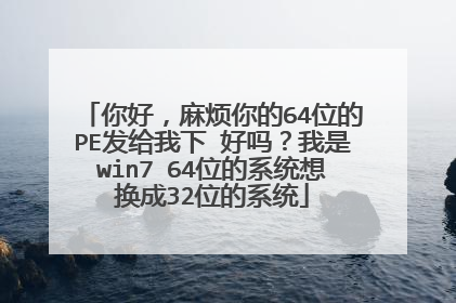 你好,麻烦你的64位的PE发给我下 好吗?我是win7 64位的系统想换成32位的系统