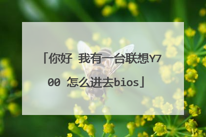 你好 我有一台联想Y700 怎么进去bios