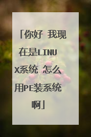 你好 我现在是LINUX系统 怎么用PE装系统啊