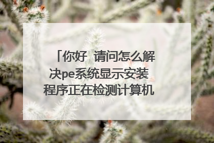 你好 请问怎么解决pe系统显示安装程序正在检测计算机硬件这个问题