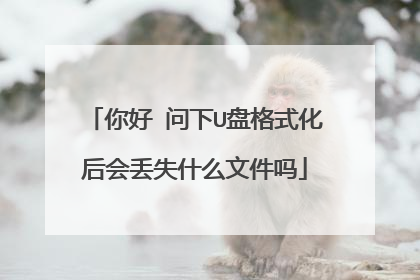 你好 问下U盘格式化后会丢失什么文件吗