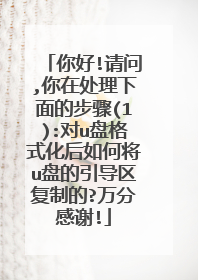 你好!请问,你在处理下面的步骤(1):对u盘格式化后如何将u盘的引导区复制的?万分感谢!