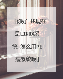 你好 我现在是LINUX系统 怎么用PE装系统啊