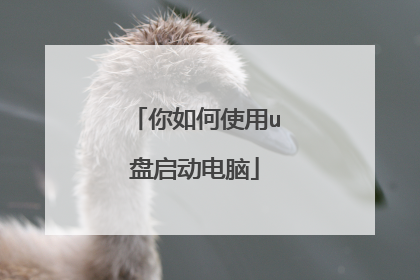 你如何使用u盘启动电脑