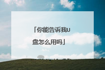 你能告诉我U盘怎么用吗