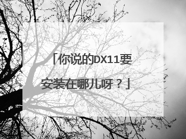你说的DX11要安装在哪儿呀?
