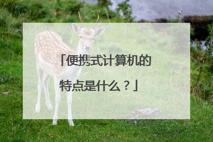 便携式计算机的特点是什么?