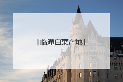 临潼白菜产地