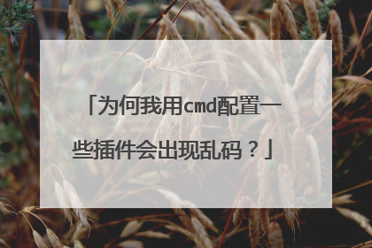 为何我用cmd配置一些插件会出现乱码?