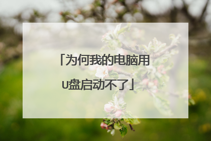 为何我的电脑用U盘启动不了
