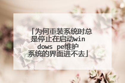 为何重装系统时总是停止在启动windows pe维护系统的界面进不去