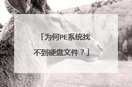 为何PE系统找不到硬盘文件？