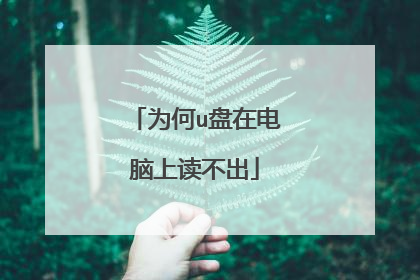 为何u盘在电脑上读不出