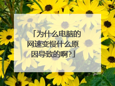 为什么电脑的网速变慢什么原因导致的啊?