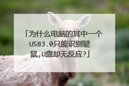 为什么电脑的其中一个USB3.0只能识别键鼠,U盘却无反应?